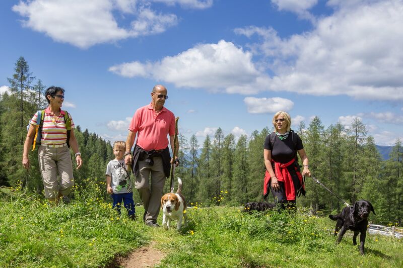 Hunde Gassi gehen mit Familie