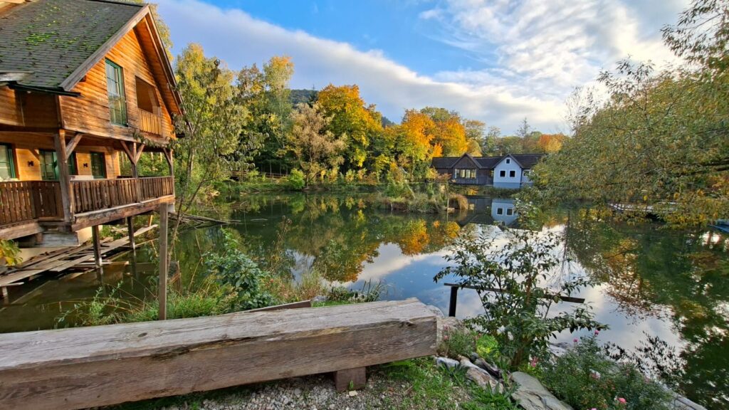 Herbst bei Steinschaler am Steinschaler Teich in Warth