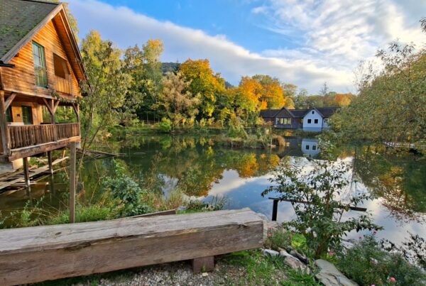 Herbst bei Steinschaler am Steinschaler Teich in Warth