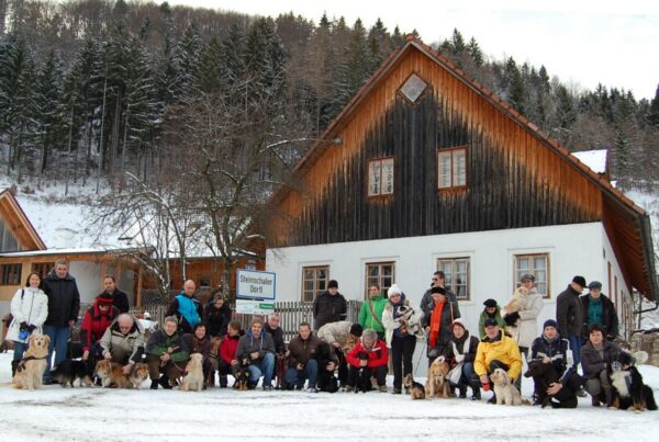Silvester knallfrei im Dörfl